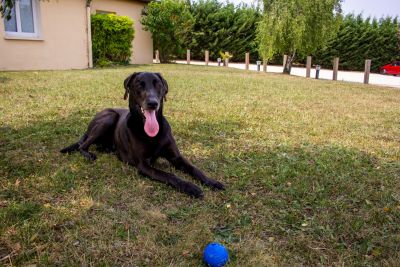 Hapy hotel houdan 78 118